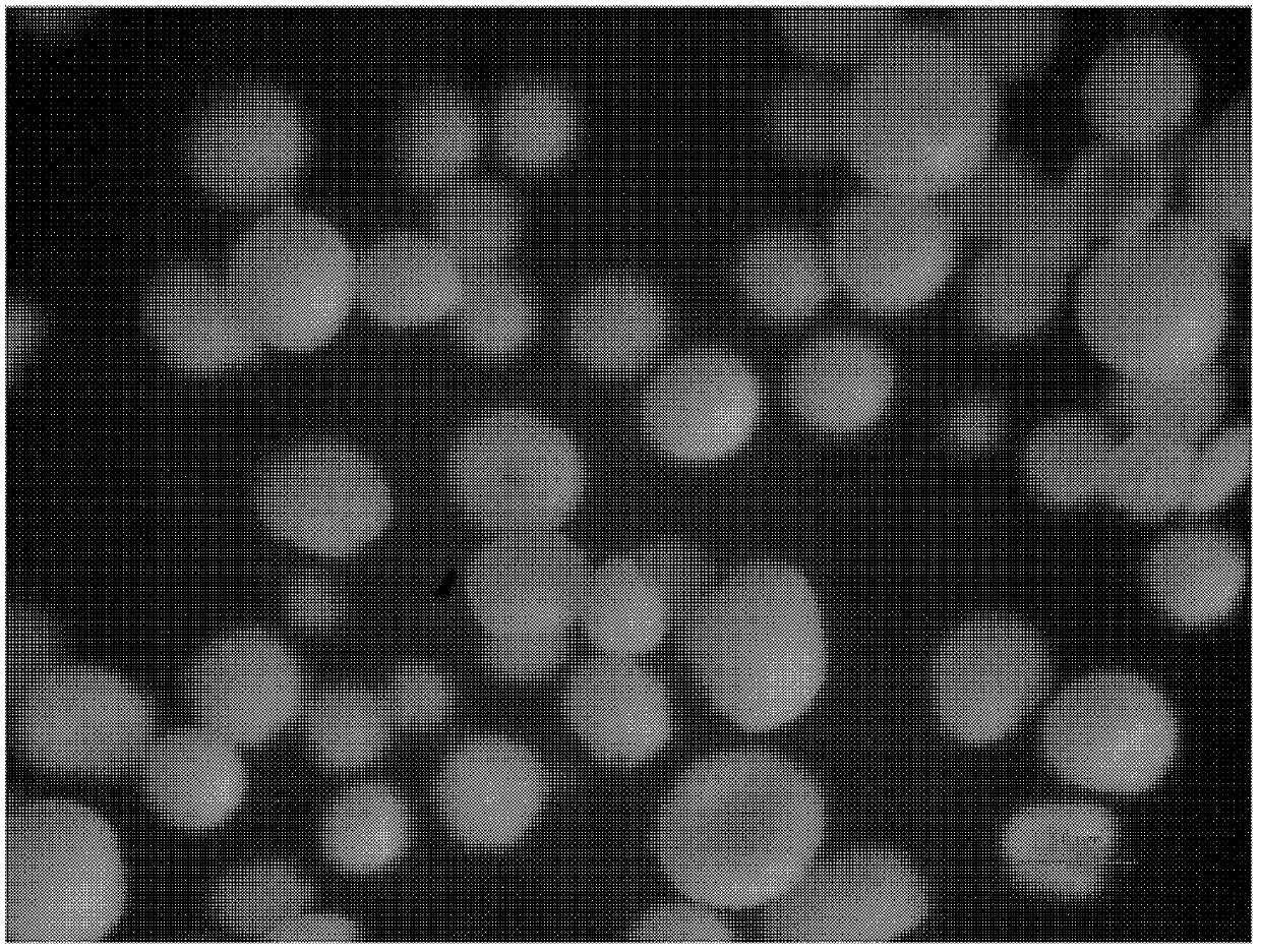 Preparing method of wearing-resistant catalyst