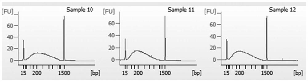 Preparation method of quantitative standard substance for high-throughput sequencing library of illumina platform