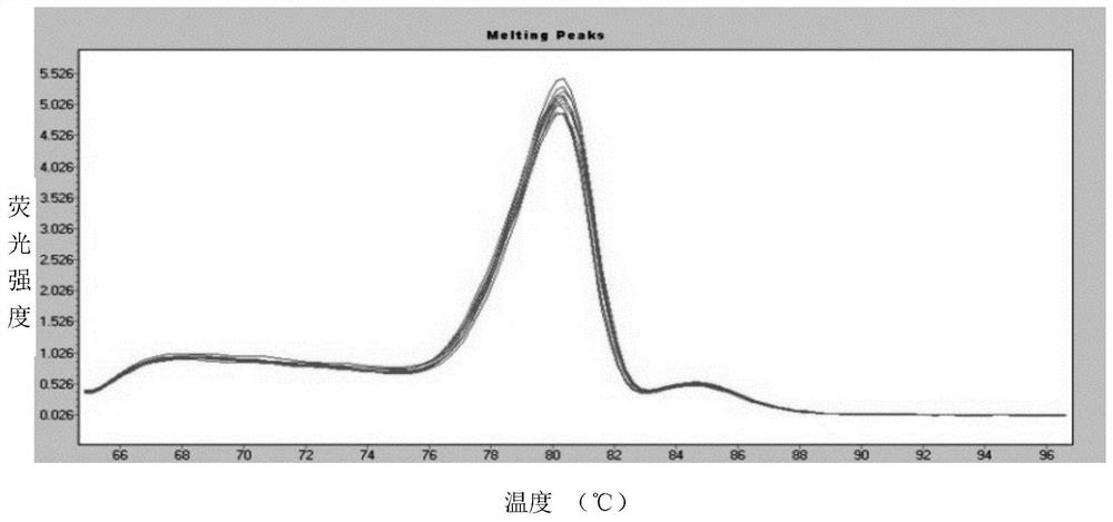 Preparation method of quantitative standard substance for high-throughput sequencing library of illumina platform