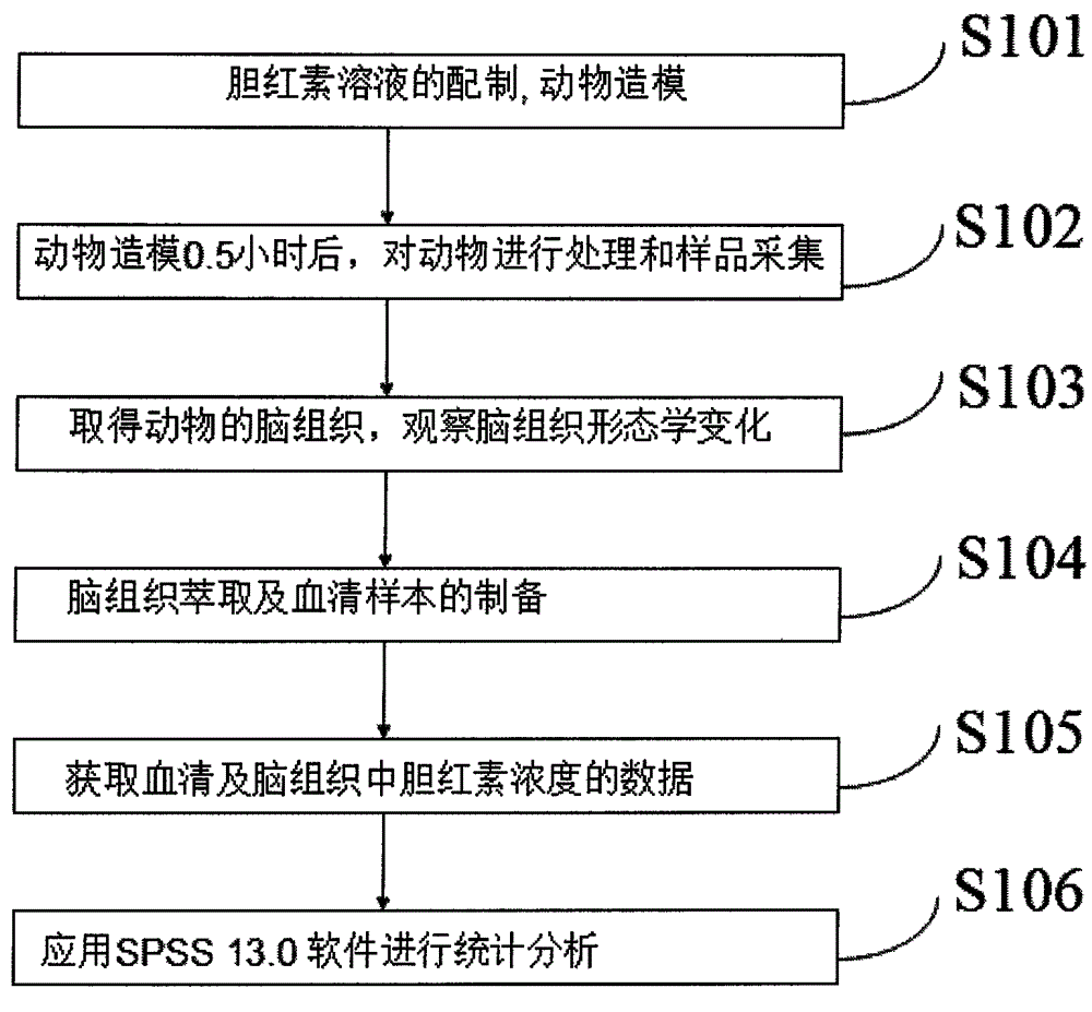 Bilirubin encephalopathy model production method employing jugular vein catheter