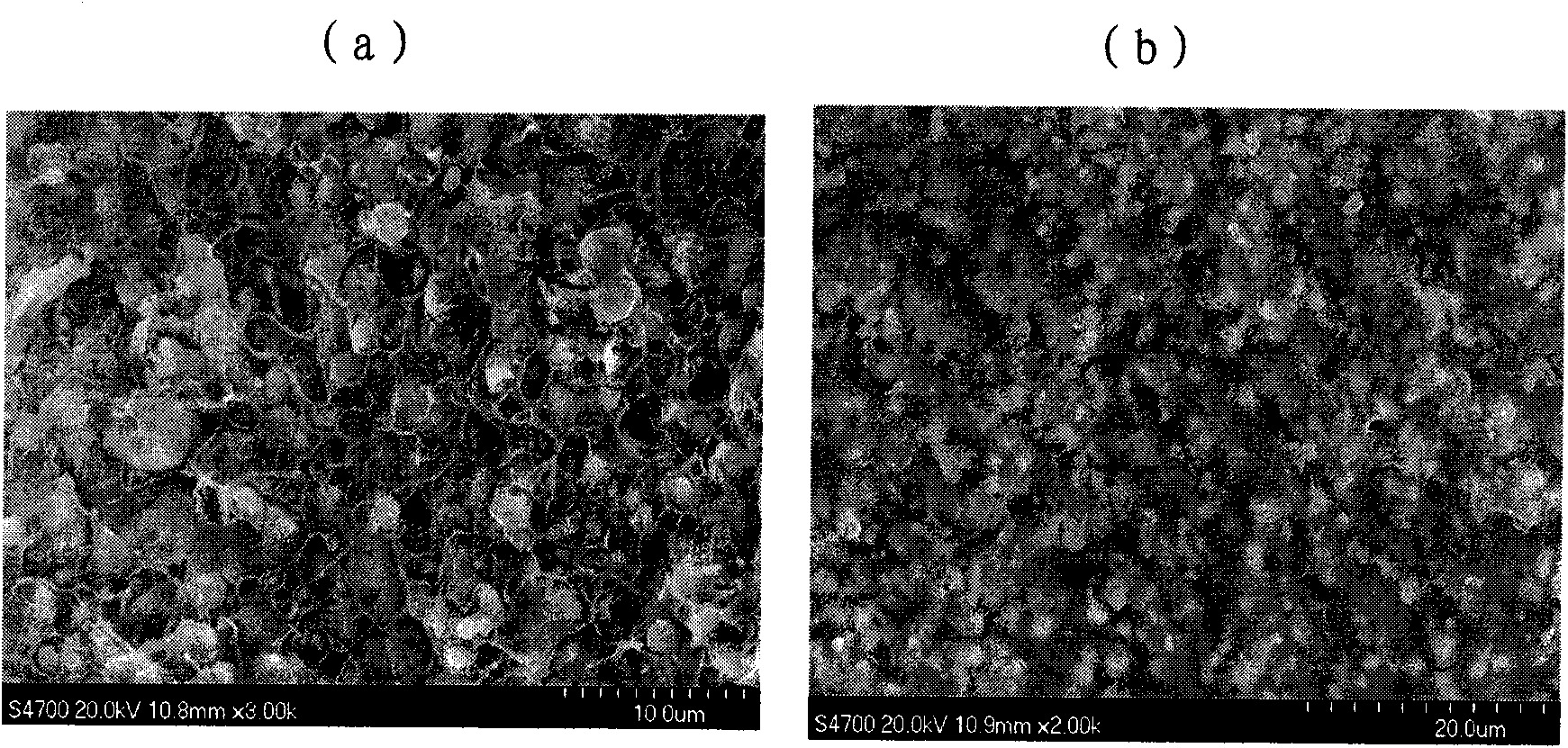 Heat-resisting high-dielectric constant inorganic/polymer composite film