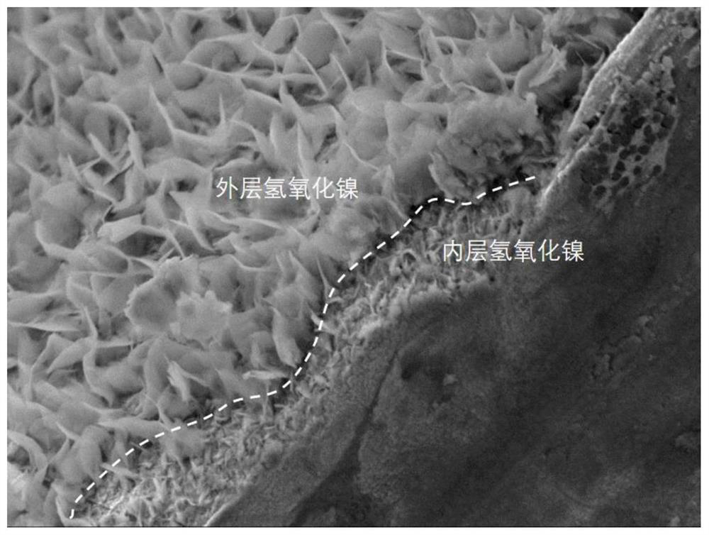 Hydrogen evolution electrode and preparation and application thereof