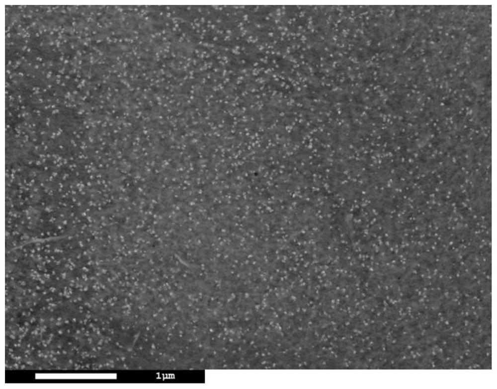 Hydrogen evolution electrode and preparation and application thereof