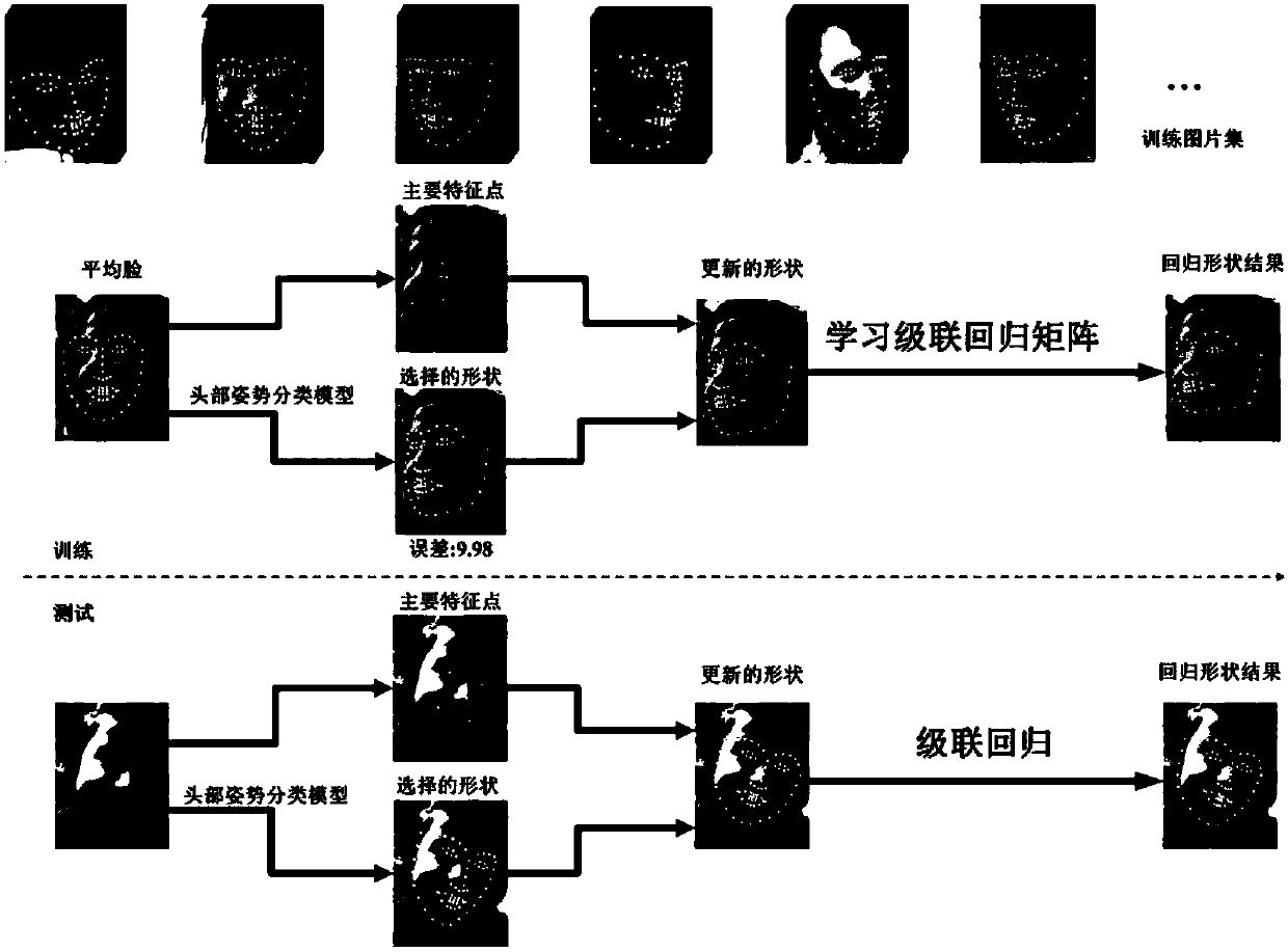 Face alignment method based on thick-to-thin face shape estimation