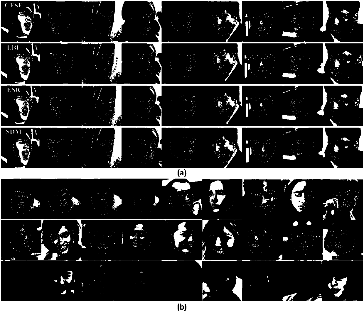 Face alignment method based on thick-to-thin face shape estimation