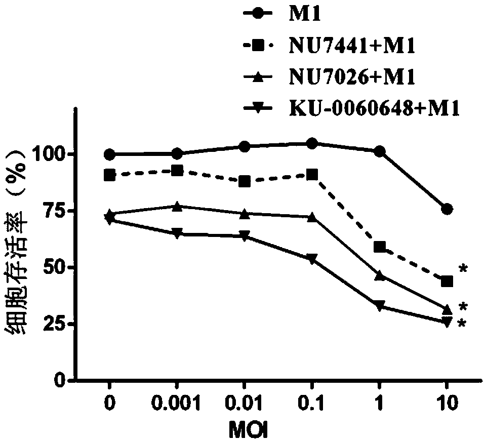 Synergistic antitumor drug