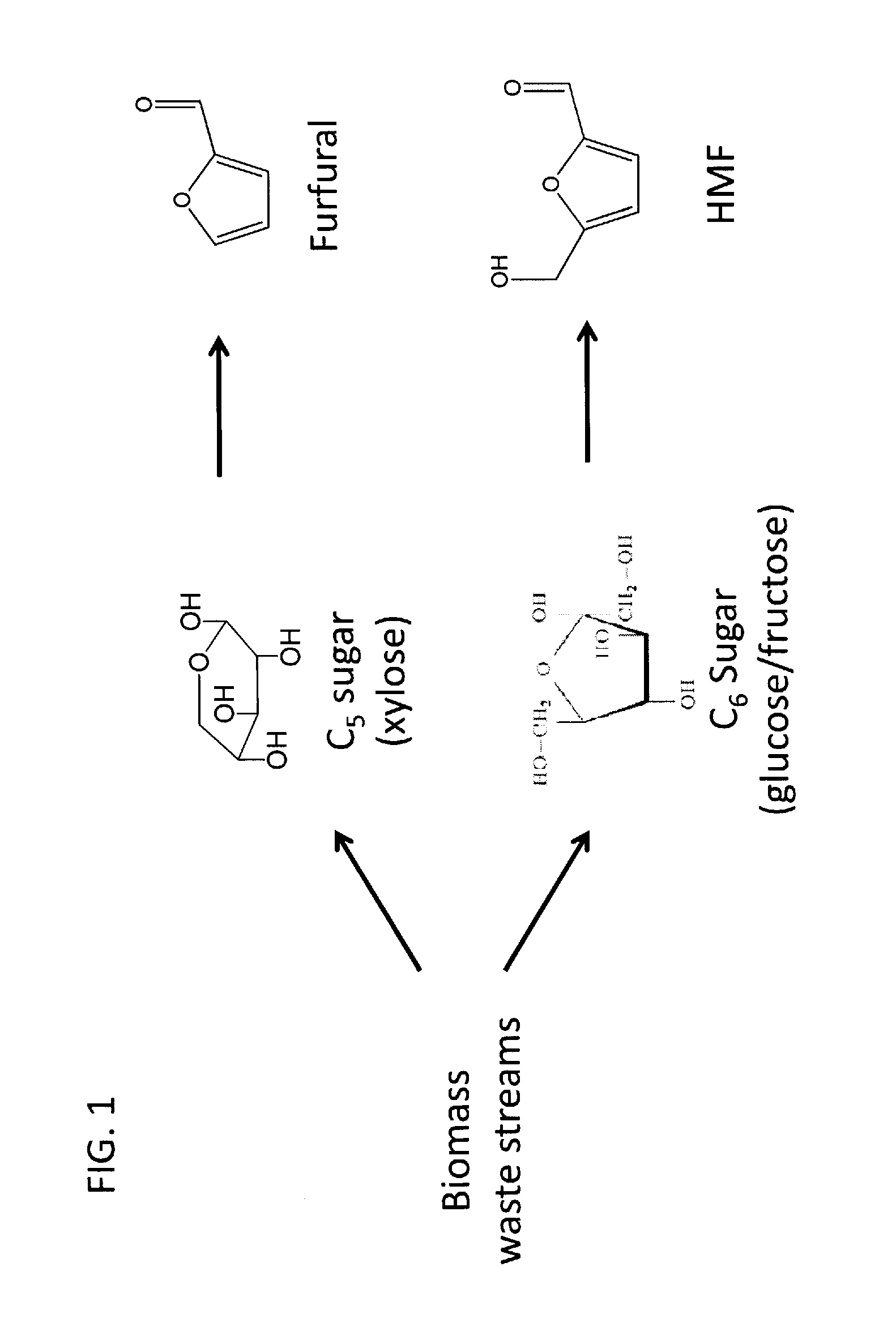 Method to convert biomass to 5-(hydroxymethyl)-furfural (HMF) and furfural using lactones, furans, and pyrans as solvents