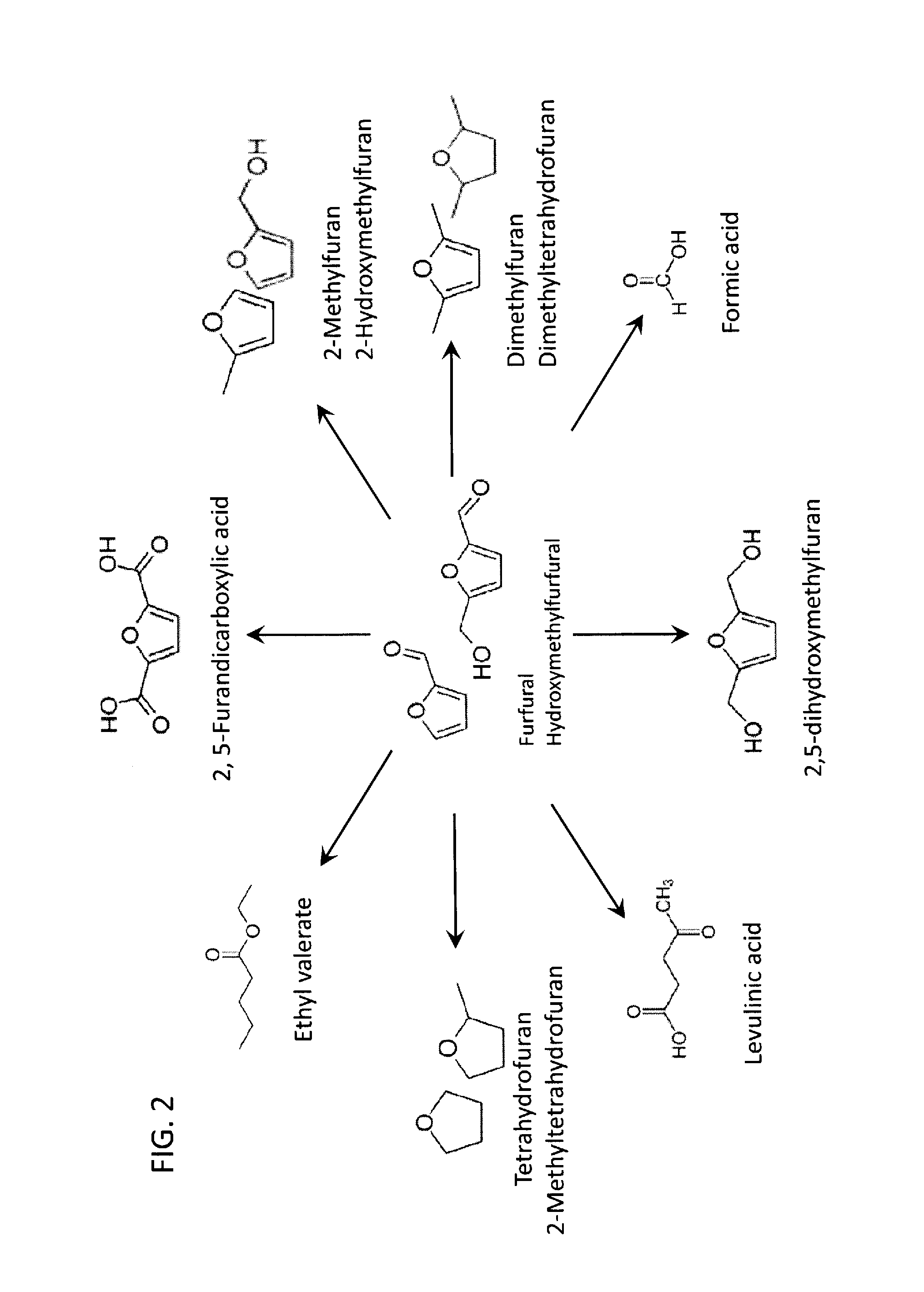 Method to convert biomass to 5-(hydroxymethyl)-furfural (HMF) and furfural using lactones, furans, and pyrans as solvents