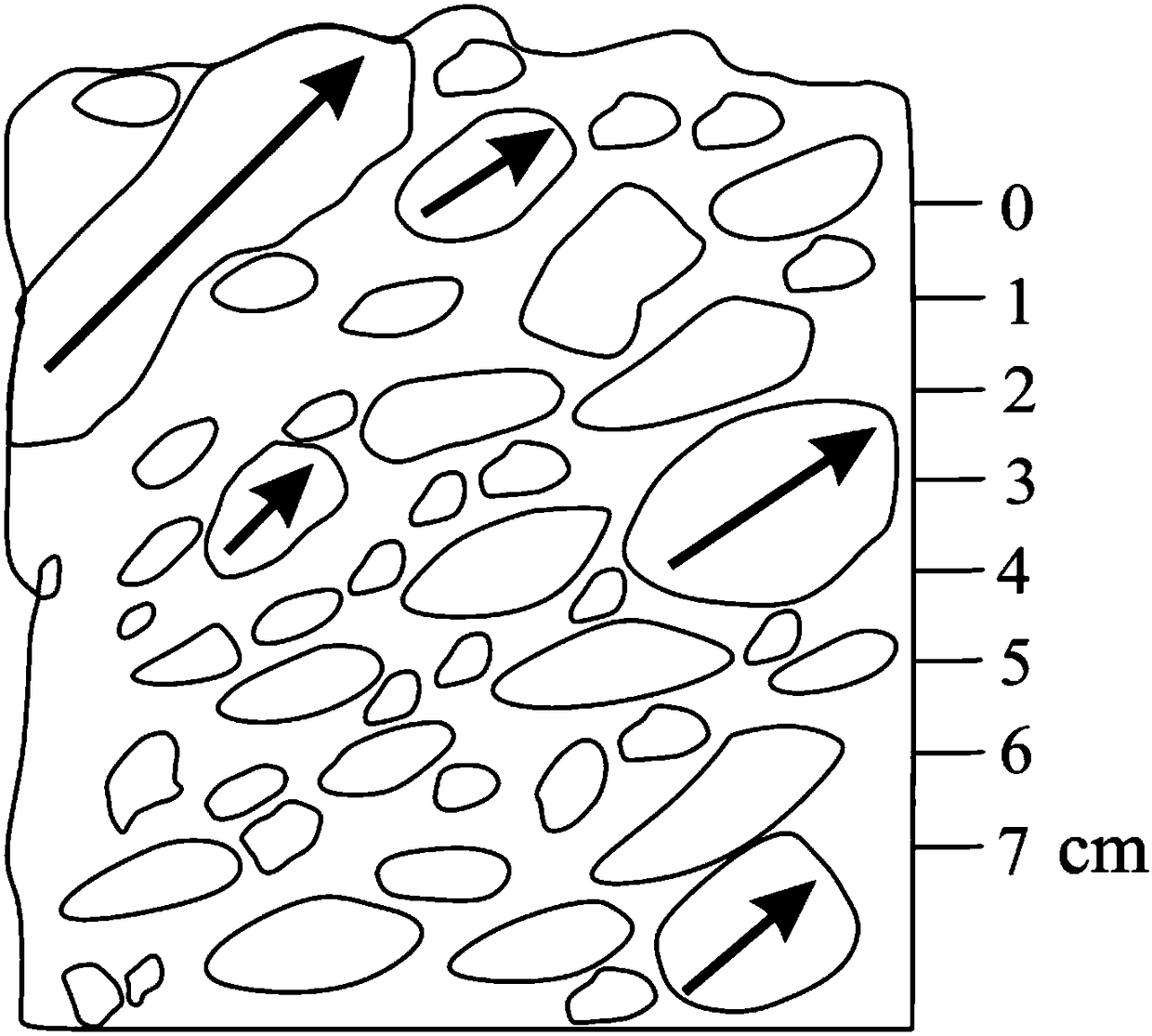 Quantitative characterization method of gravel directionality in conglomerate core and application thereof