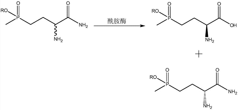 Method for preparing L-phosphinothricin through deracemization and by biological enzyme method