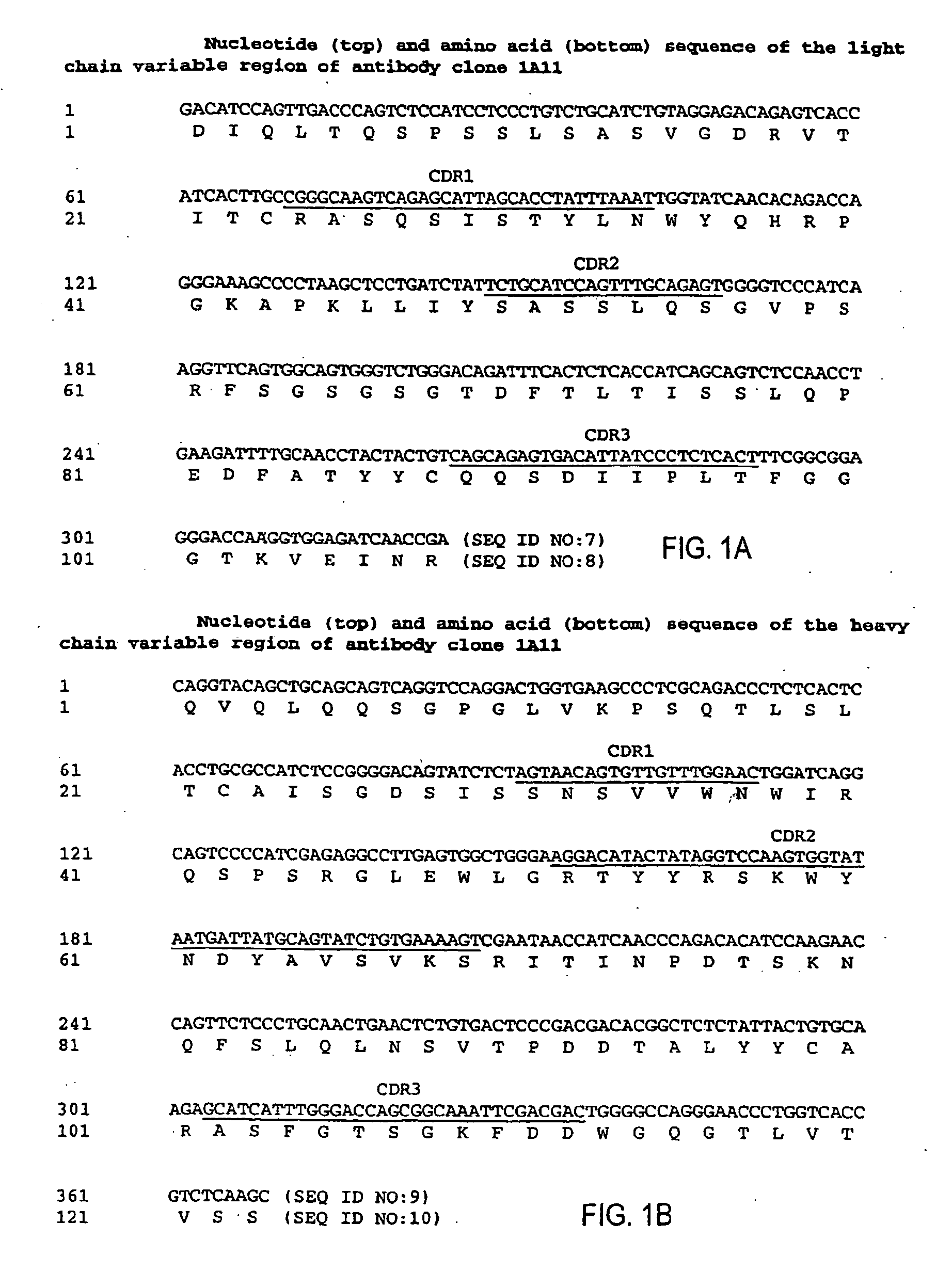 MHC-peptide complex binding ligands