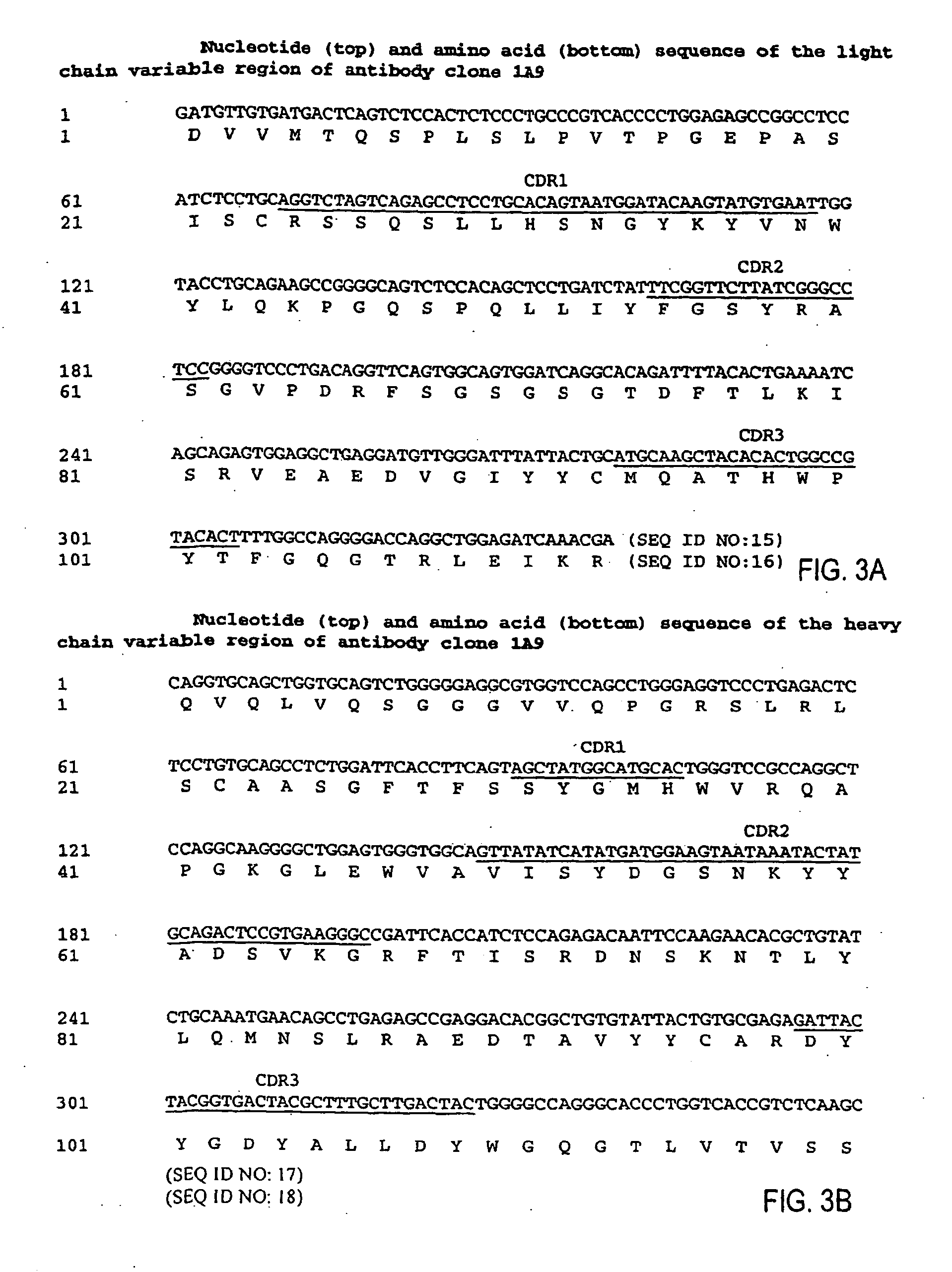 MHC-peptide complex binding ligands