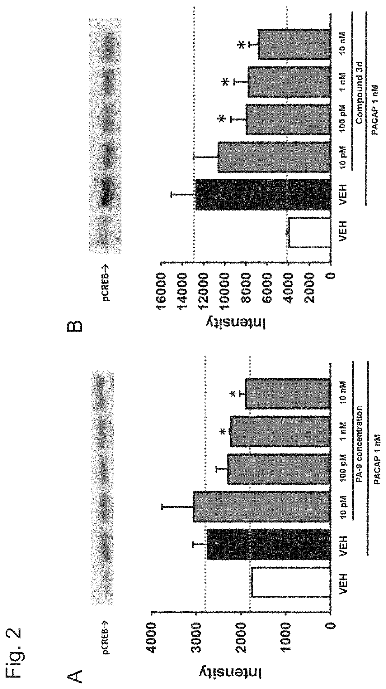 Analgesic drug using pac1 receptor antagonistic drug