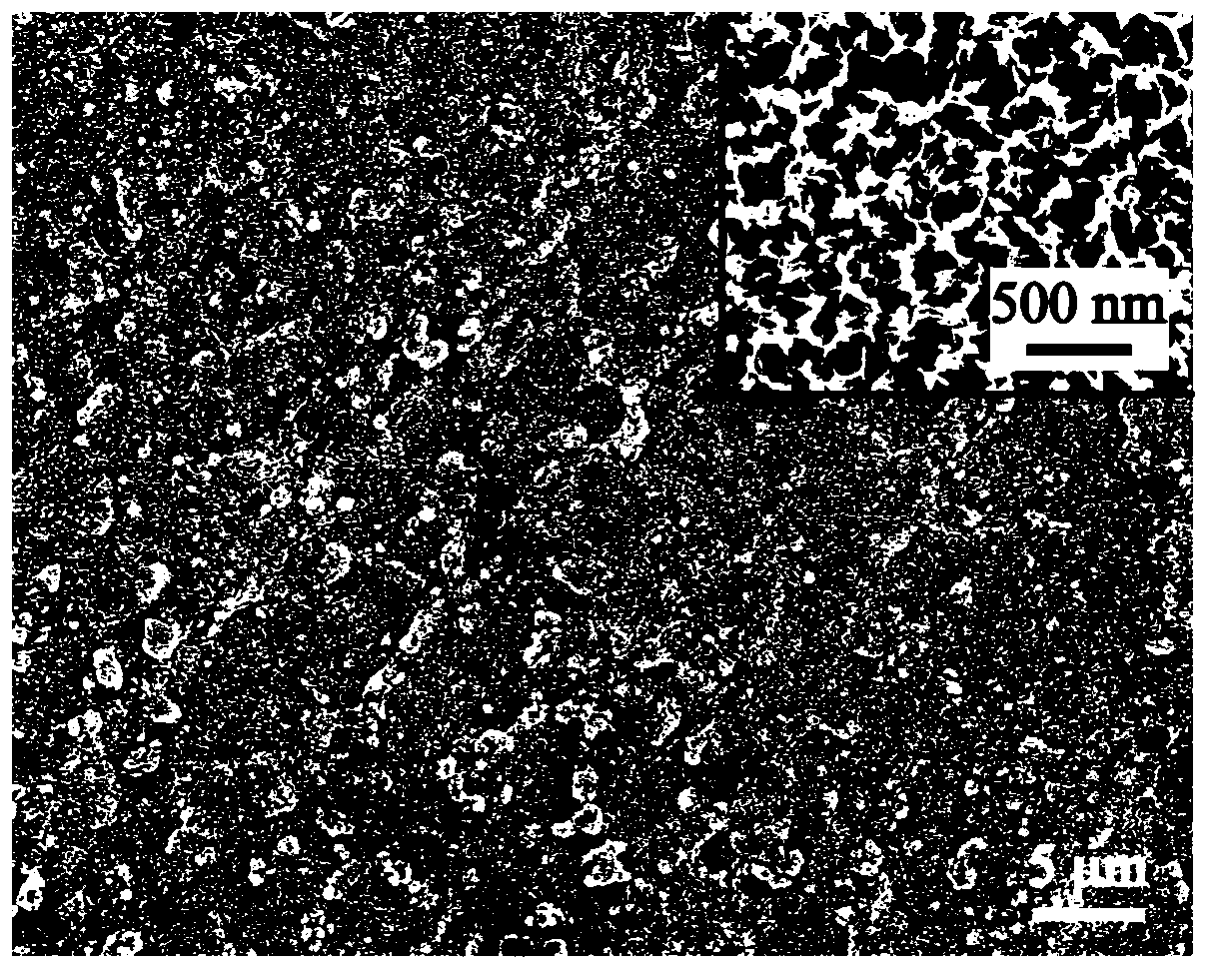 Hydroxyapatite/chitosan composite coating and preparation method thereof