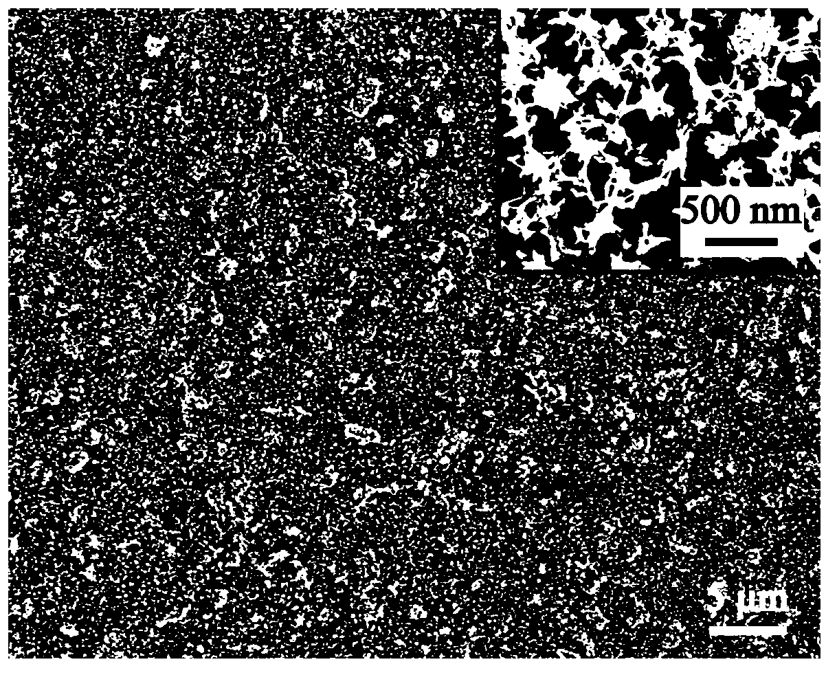 Hydroxyapatite/chitosan composite coating and preparation method thereof