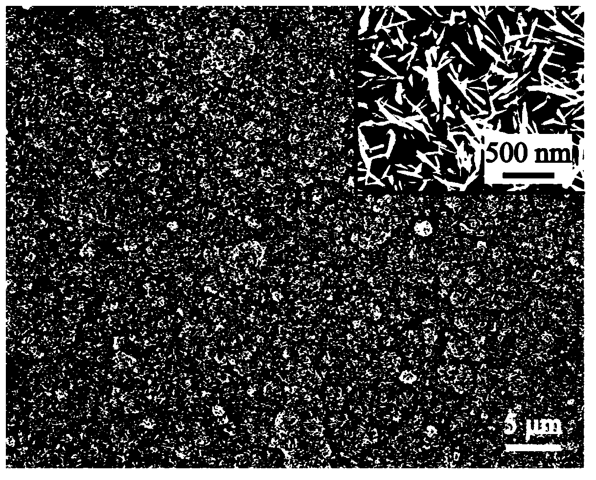 Hydroxyapatite/chitosan composite coating and preparation method thereof