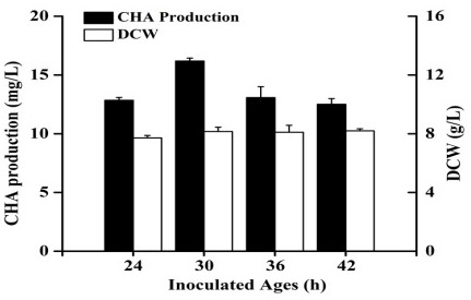 Method for producing anticancer active compound CHA by utilizing sea crab symbiotic aspergillus fumigatus