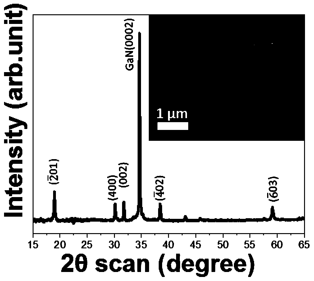 Preparation method of large-size single crystal beta-gallium oxide nanobelt structure