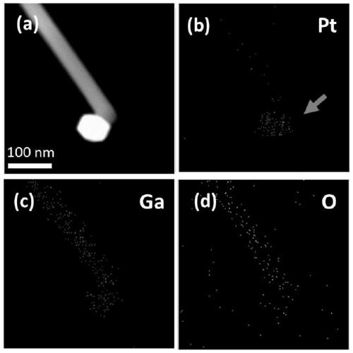 Preparation method of large-size single crystal beta-gallium oxide nanobelt structure