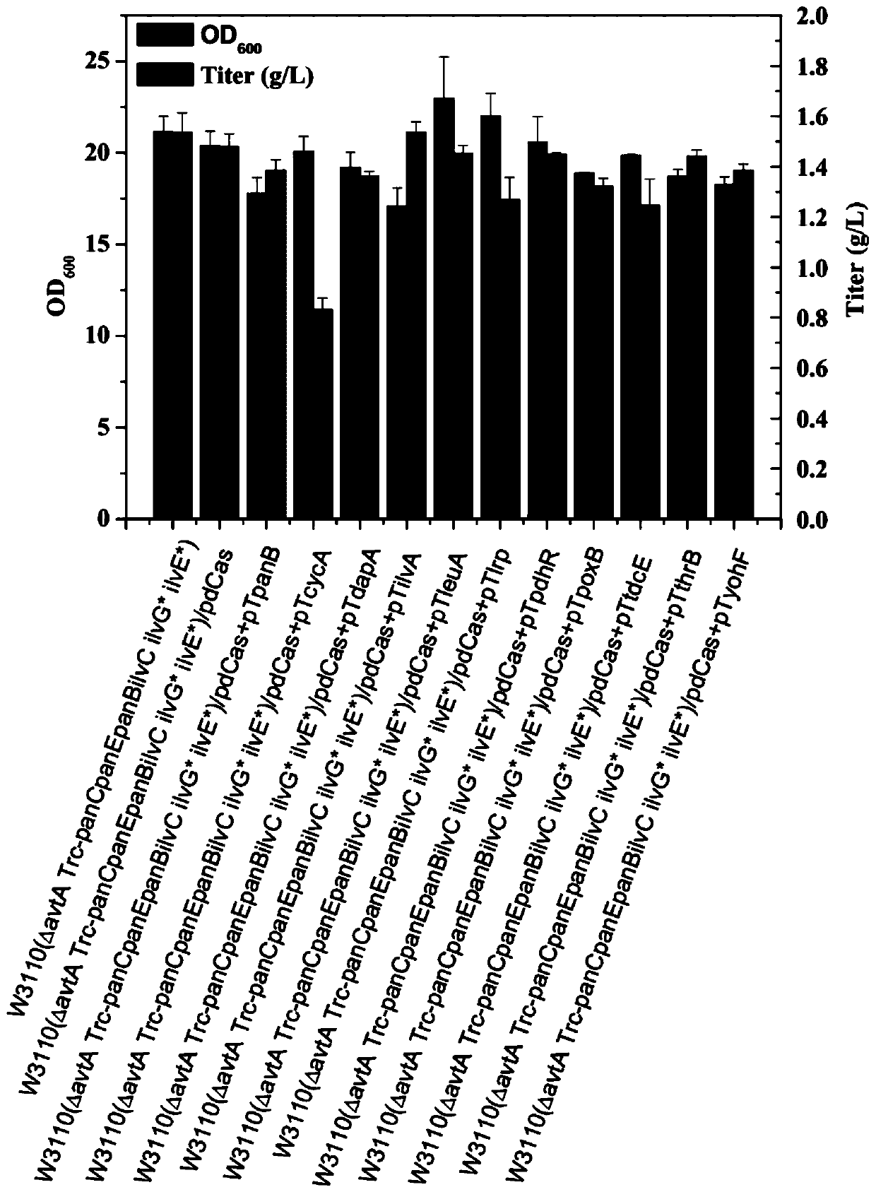 Genetic engineering bacteria capable of producing pantothenic acid at high yield without addition of beta-alanine, construction and application of genetic engineering bacteria