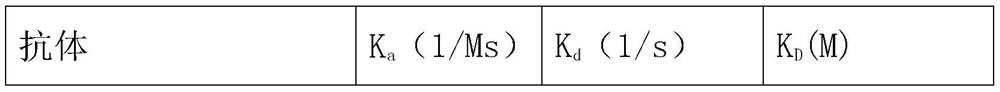 Nucleic acid antibody kit for rapid detection of virus