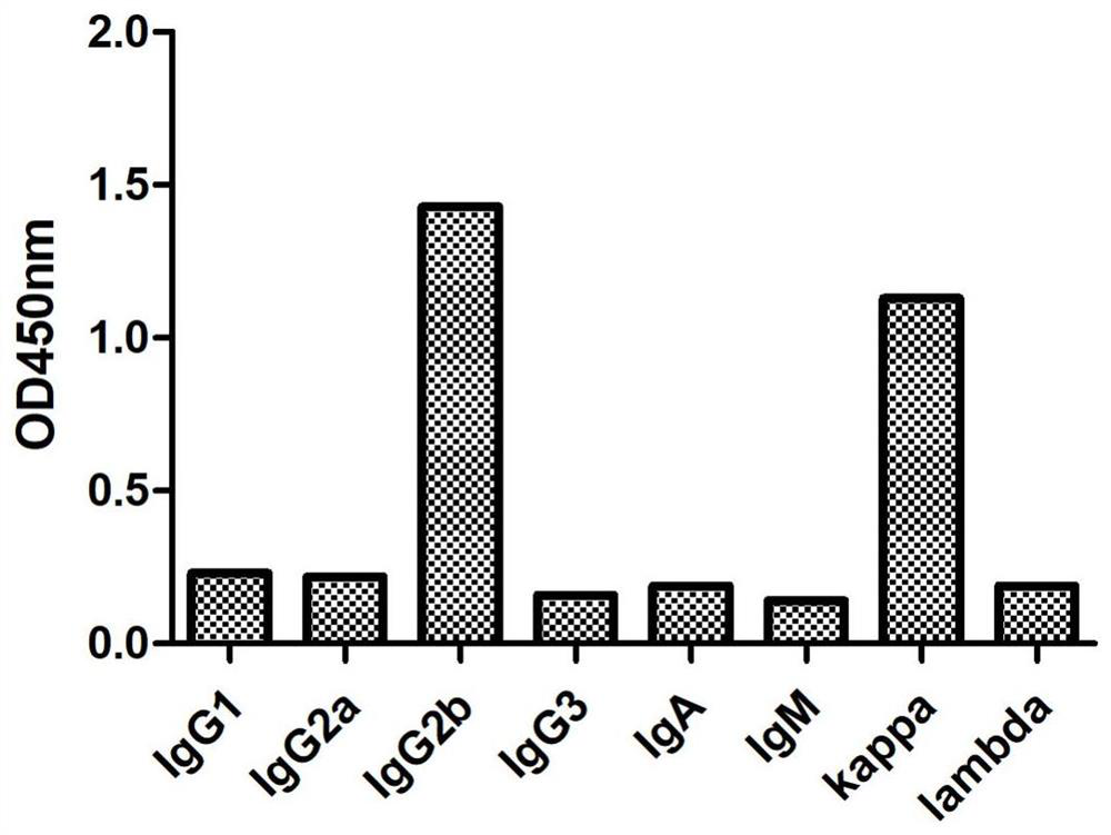 Nucleic acid antibody kit for rapid detection of virus