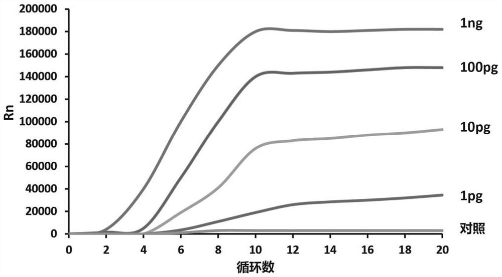 Nucleic acid antibody kit for rapid detection of virus