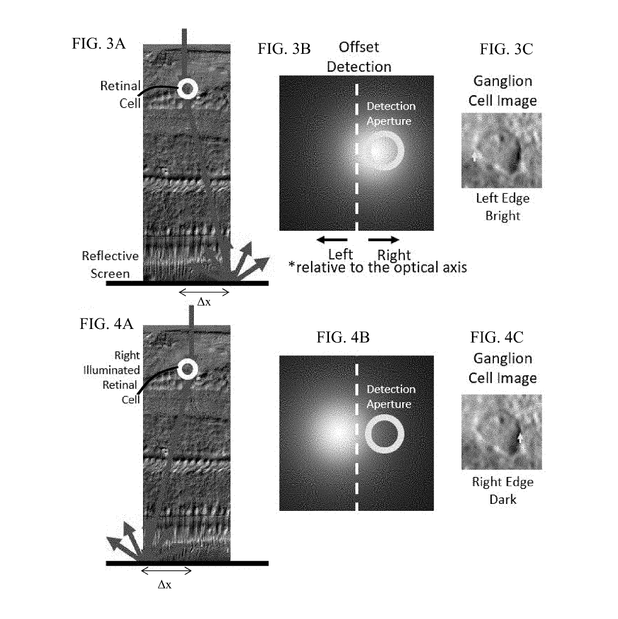 Label-free contrast enhancement for translucent cell imaging by purposefully displacing the detector