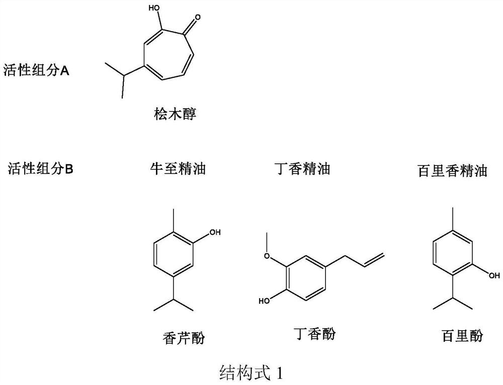 Application of bactericidal composition containing hinokitiol, plant essential oil and main components of hinokitiol and plant essential oil in prevention and treatment of plant diseases and mould