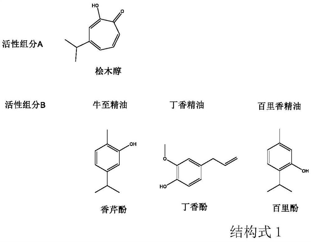 Application of bactericidal composition containing hinokitiol, plant essential oil and main components of hinokitiol and plant essential oil in prevention and treatment of plant diseases and mould