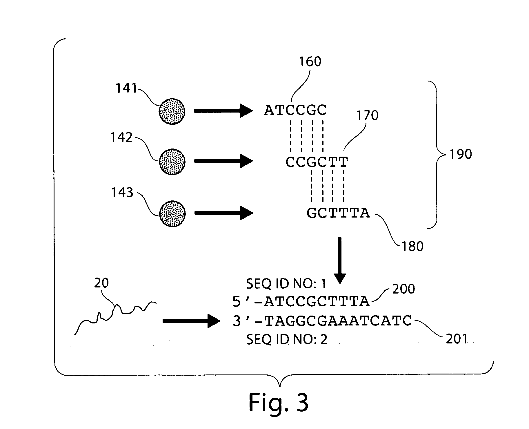 Particle-assisted nucleic acid sequencing