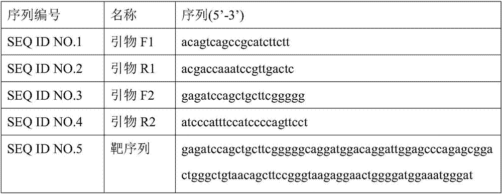 Internal reference amplification primer composition for detecting NPPA gene mutation c.T413C and amplification system thereof