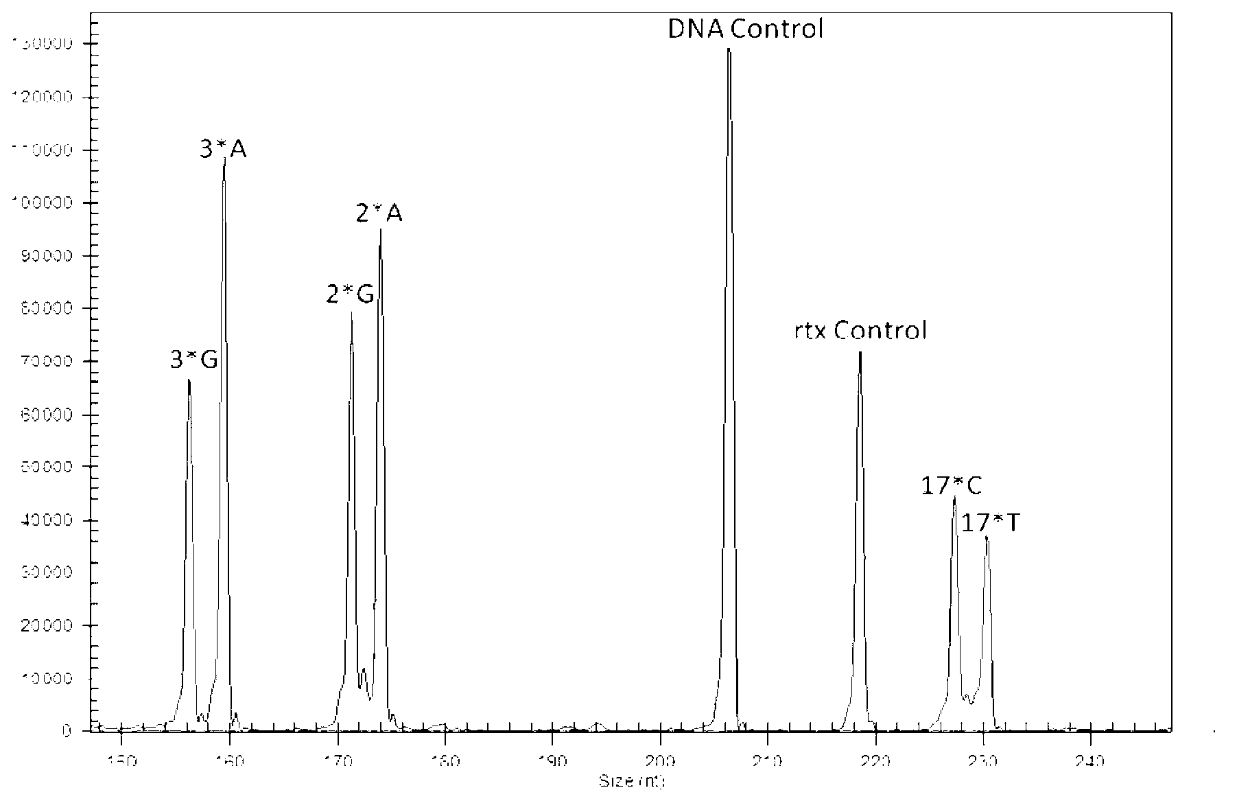 CYP2C19 gene polymorphyism detection kit and detection method thereof