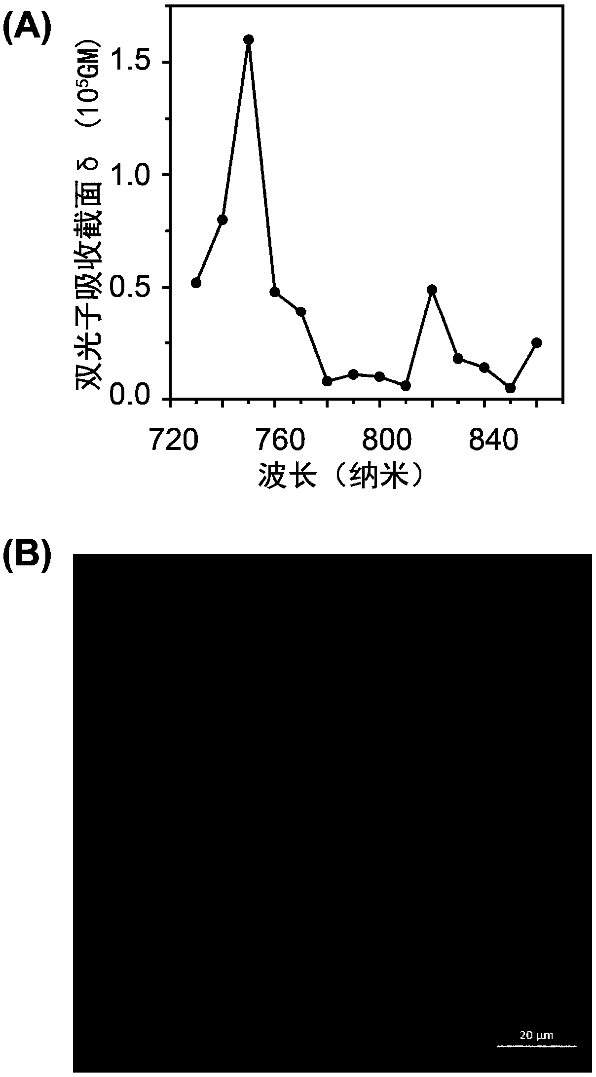 Application of gold nanocluster in preparation of drug for treating tumors