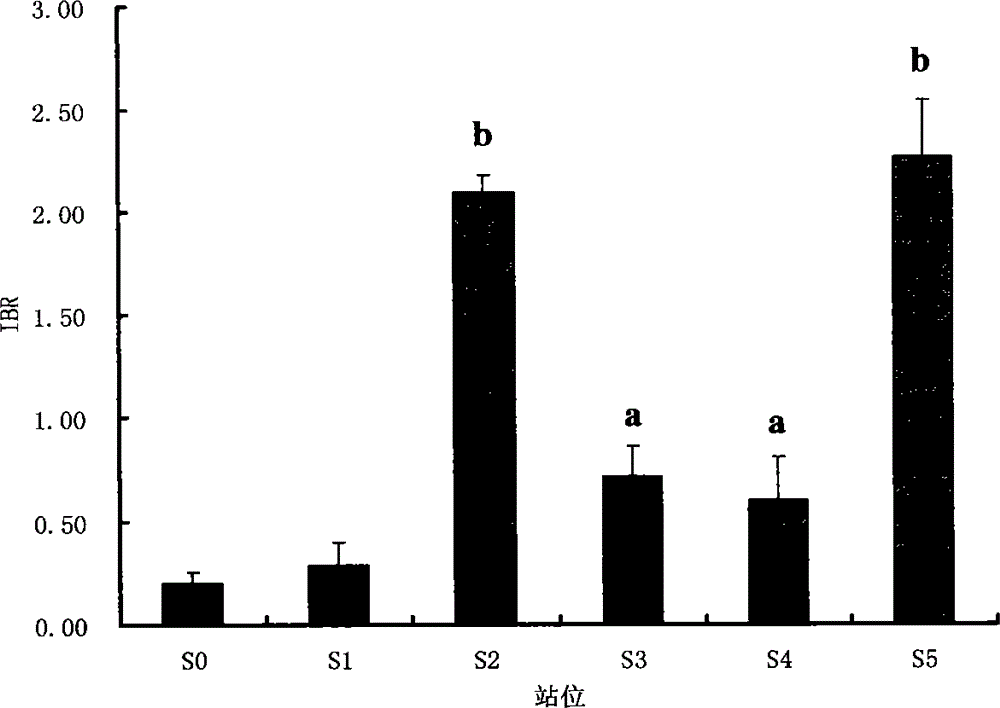 Shellfish monitoring method for ocean oil spill pollution base on integration biomarker method