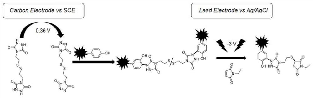 Method for constructing three-dimensional protein structure based on specific cross-linked tyrosine