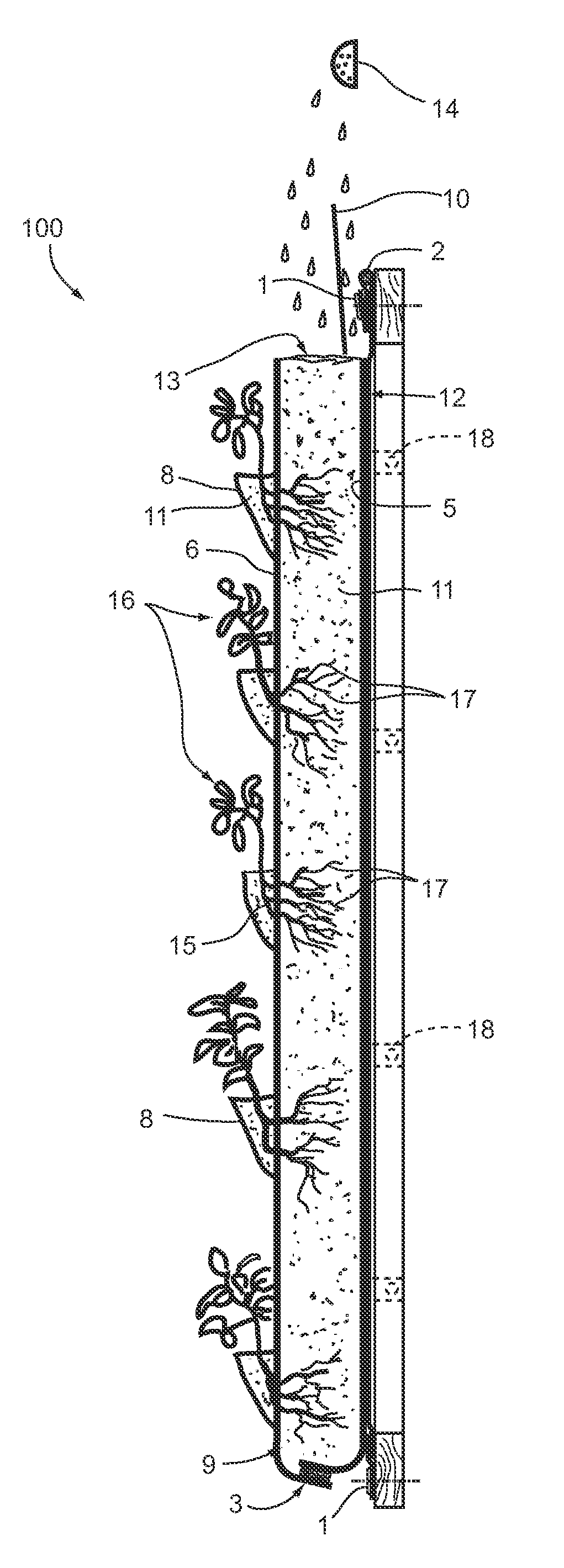 Vertical concentrated vegetable and plant grower