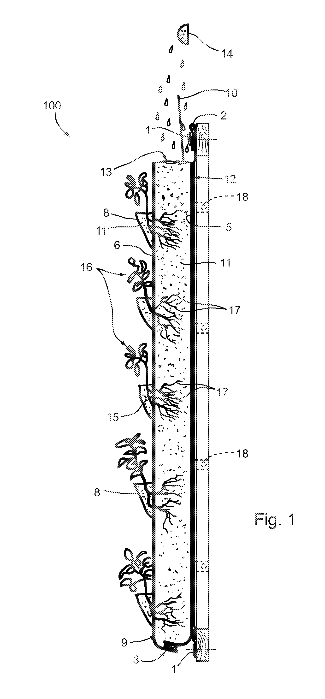 Vertical concentrated vegetable and plant grower