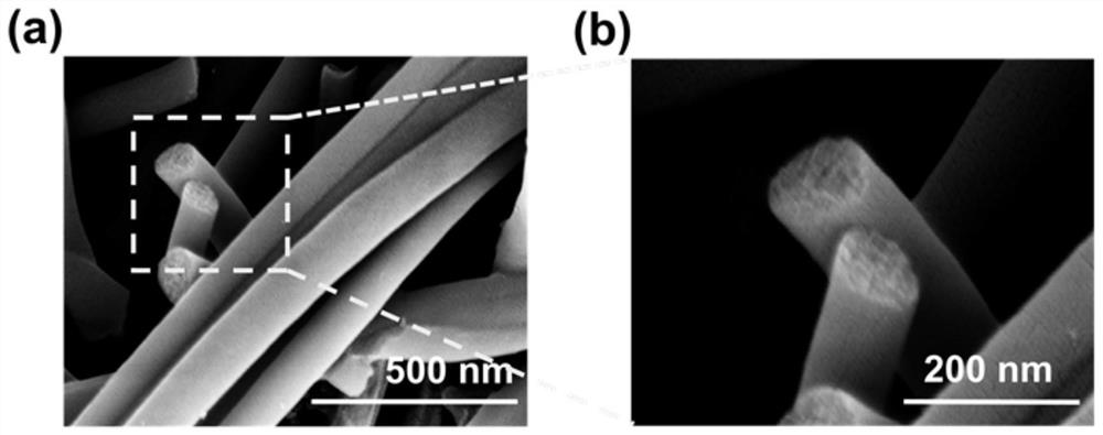 Porous nitrogen-doped carbon nanofiber dispersed nickel and molybdenum phosphide photocatalyst as well as preparation and application thereof