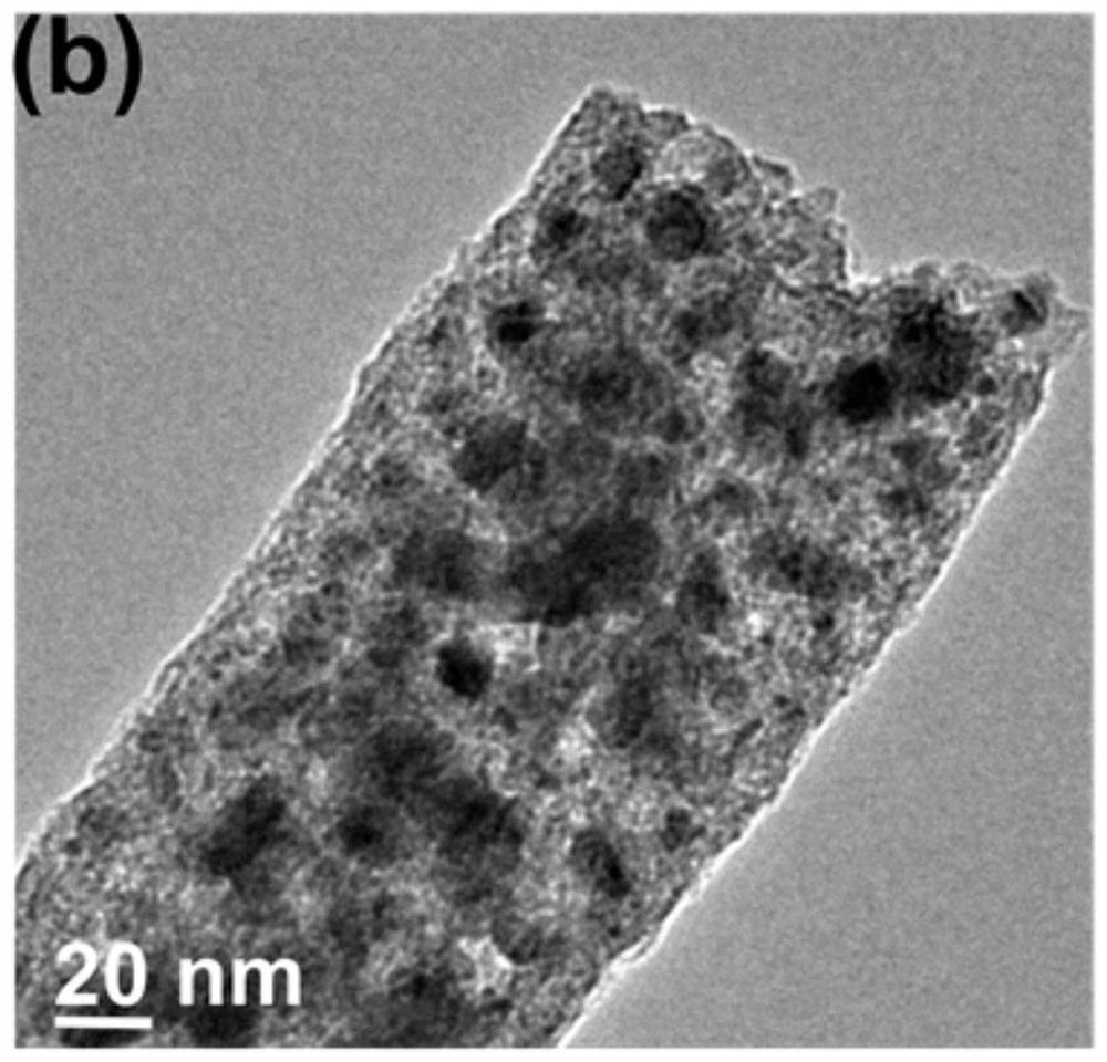 Porous nitrogen-doped carbon nanofiber dispersed nickel and molybdenum phosphide photocatalyst as well as preparation and application thereof