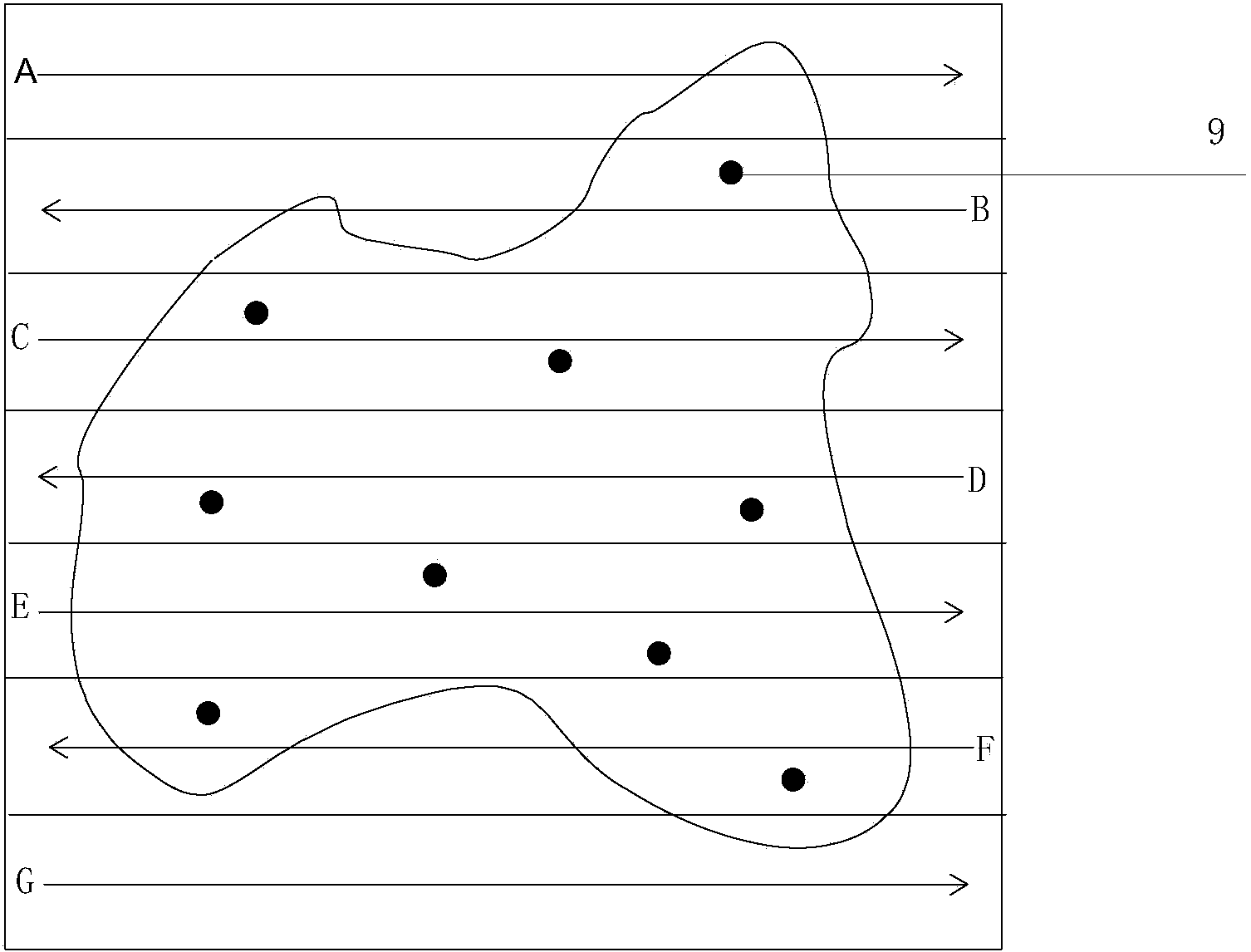 Method for rapidly and accurately focusing and scanning pathological section tissue on basis of image collection device