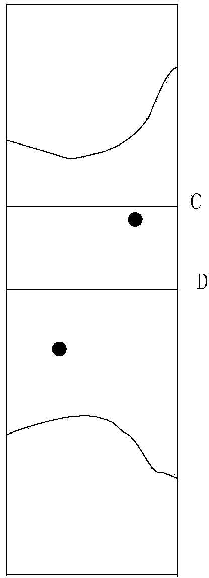 Method for rapidly and accurately focusing and scanning pathological section tissue on basis of image collection device