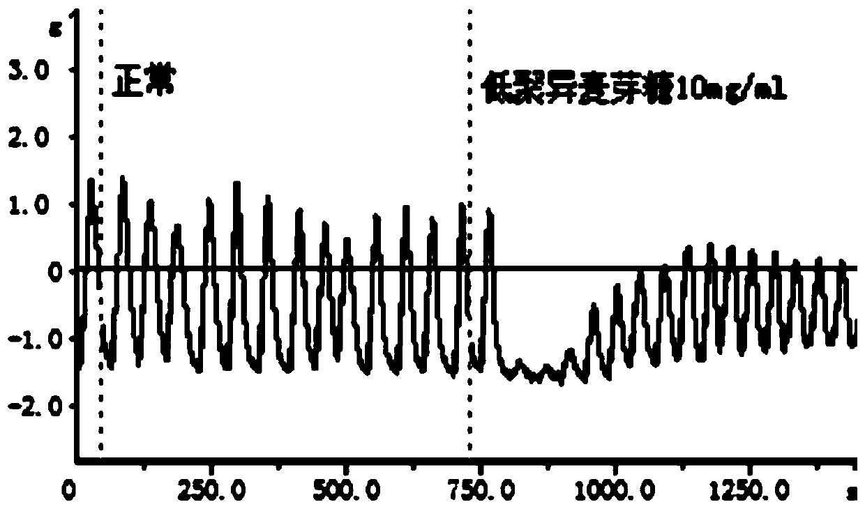 Composition of isomaltooligosaccharide and calcium ion antagonist as well as application thereof