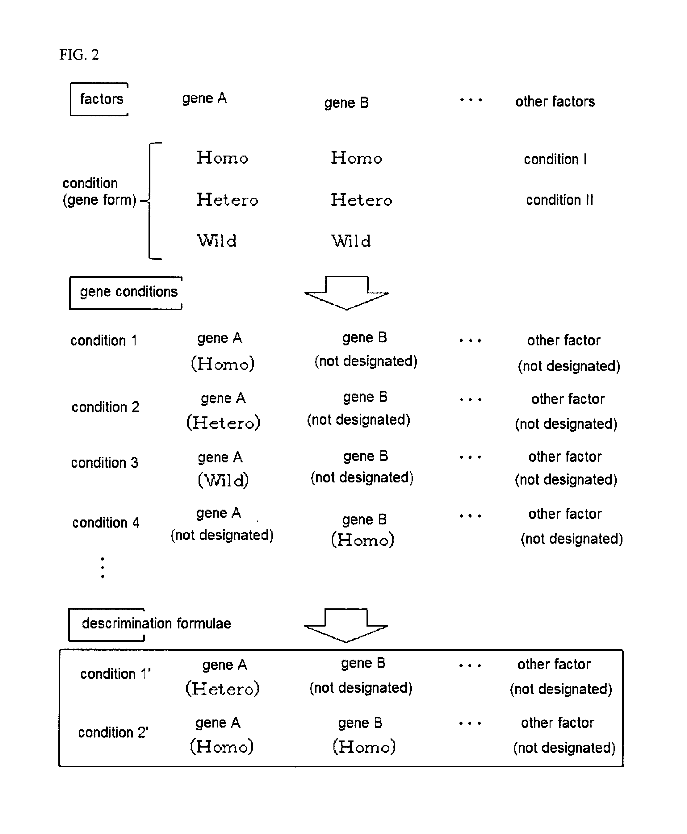 System for predicting drug effects and adverse effects and program for the same