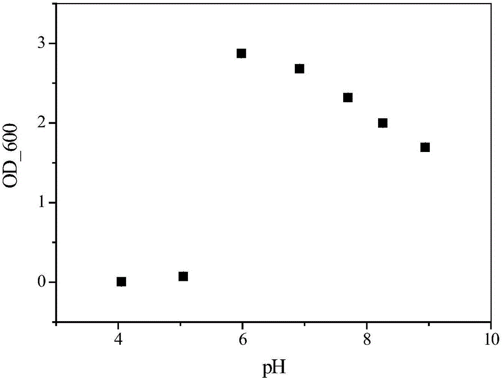 Microorganism aerobiotically reducing arsenic high-effectively