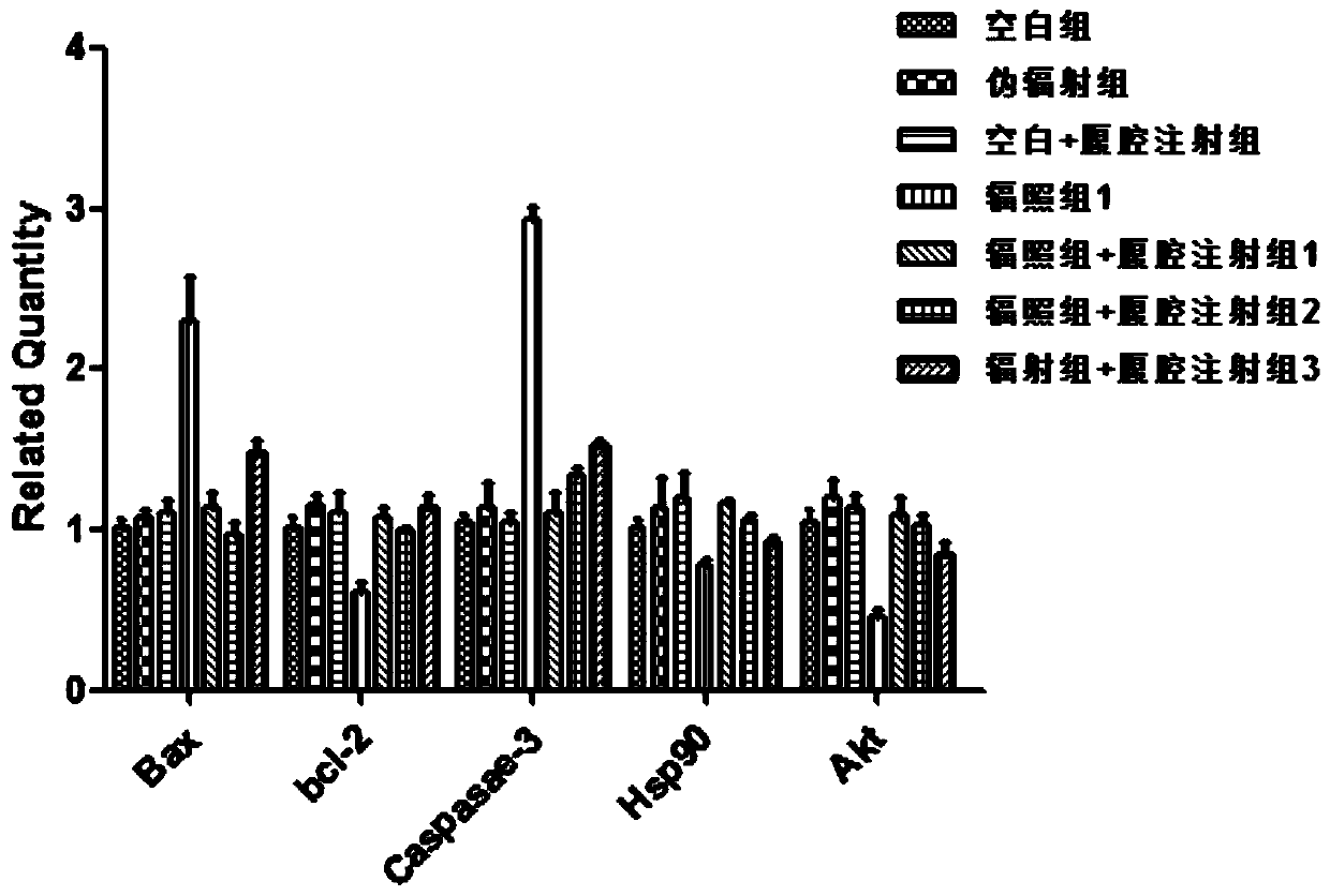 Composition and application thereof in medicines/healthcare products for prevention and treatment of mobile phone radiation