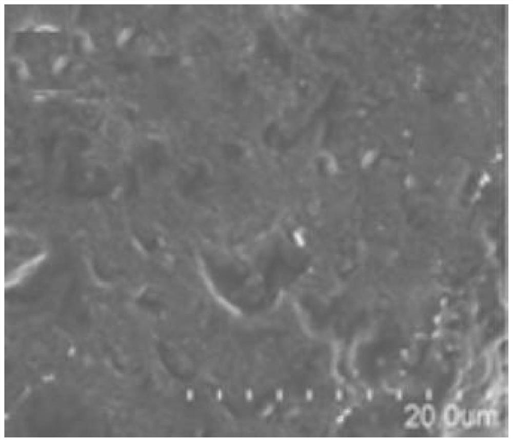 Long-term self-healing asphalt concrete based on stress-responsive multi-chamber capsules