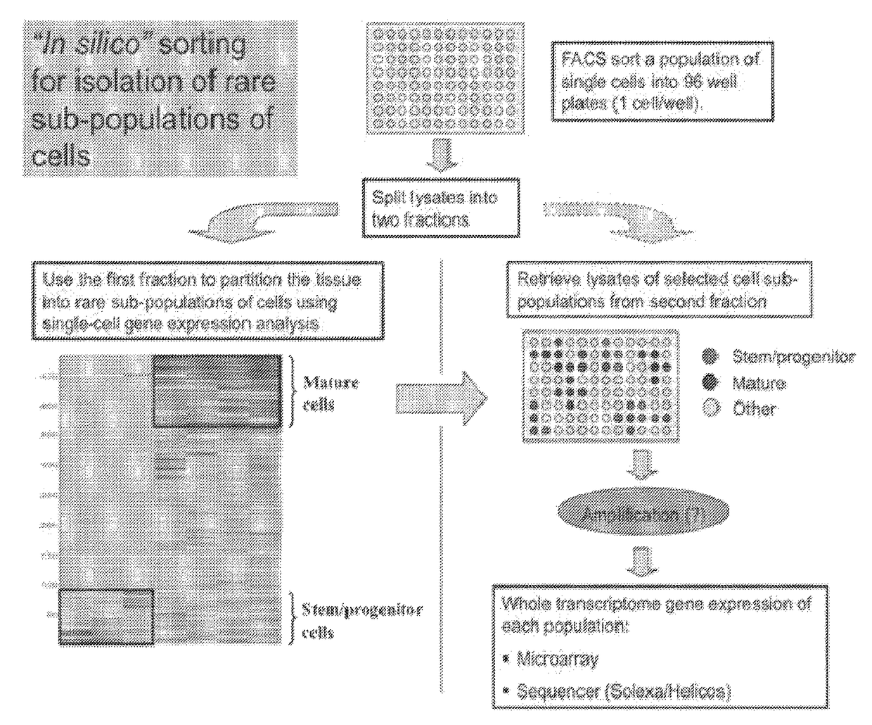 Methods and systems for analysis of single cells