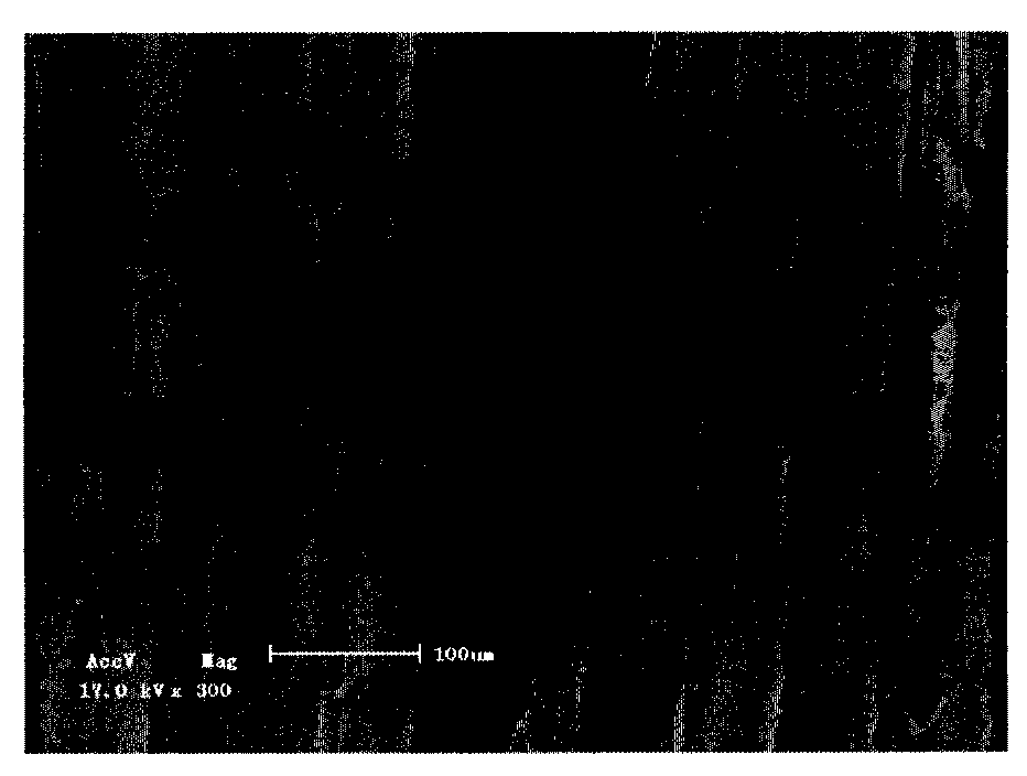 Preparation method of highly oriented tube-shaped through hole porous ceramics