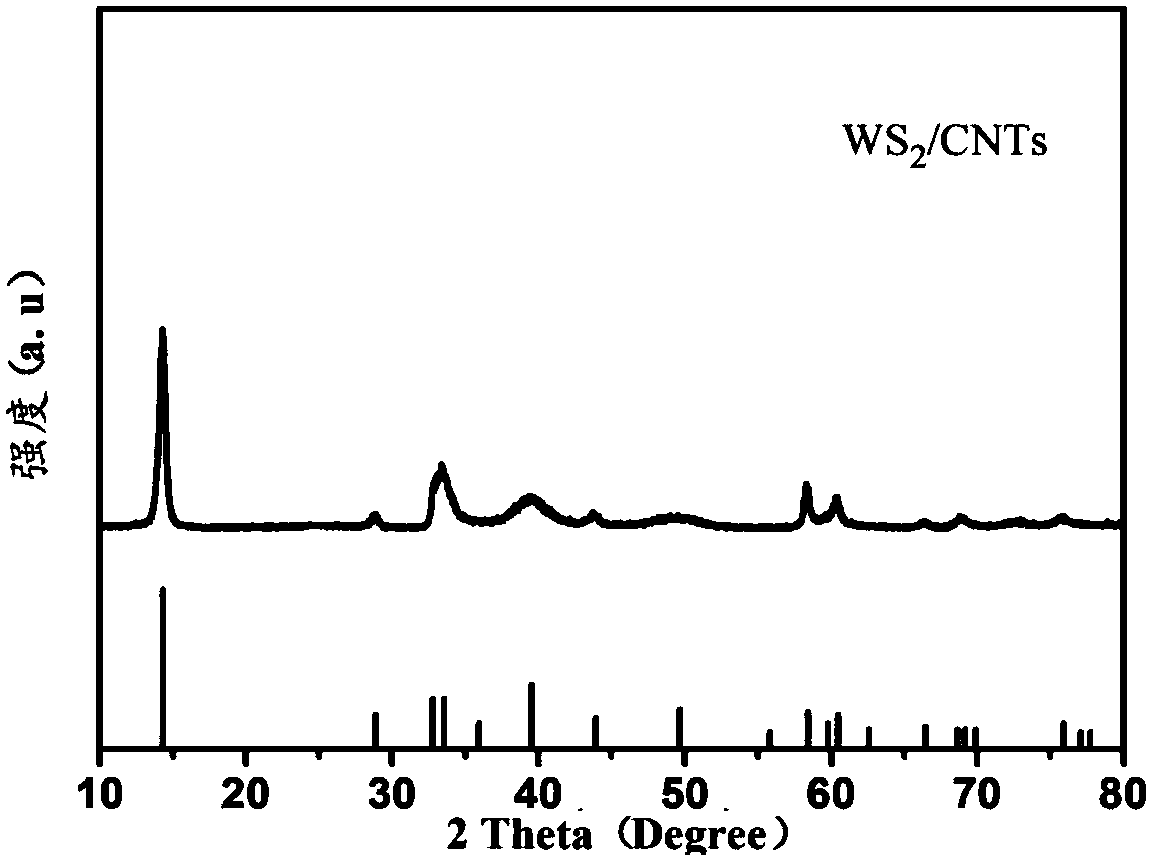 A kind of preparation method of tungsten disulfide/carbon nanotube negative electrode composite material for sodium ion battery